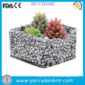 Artificial three-colored plants small stones wall Home Decoration